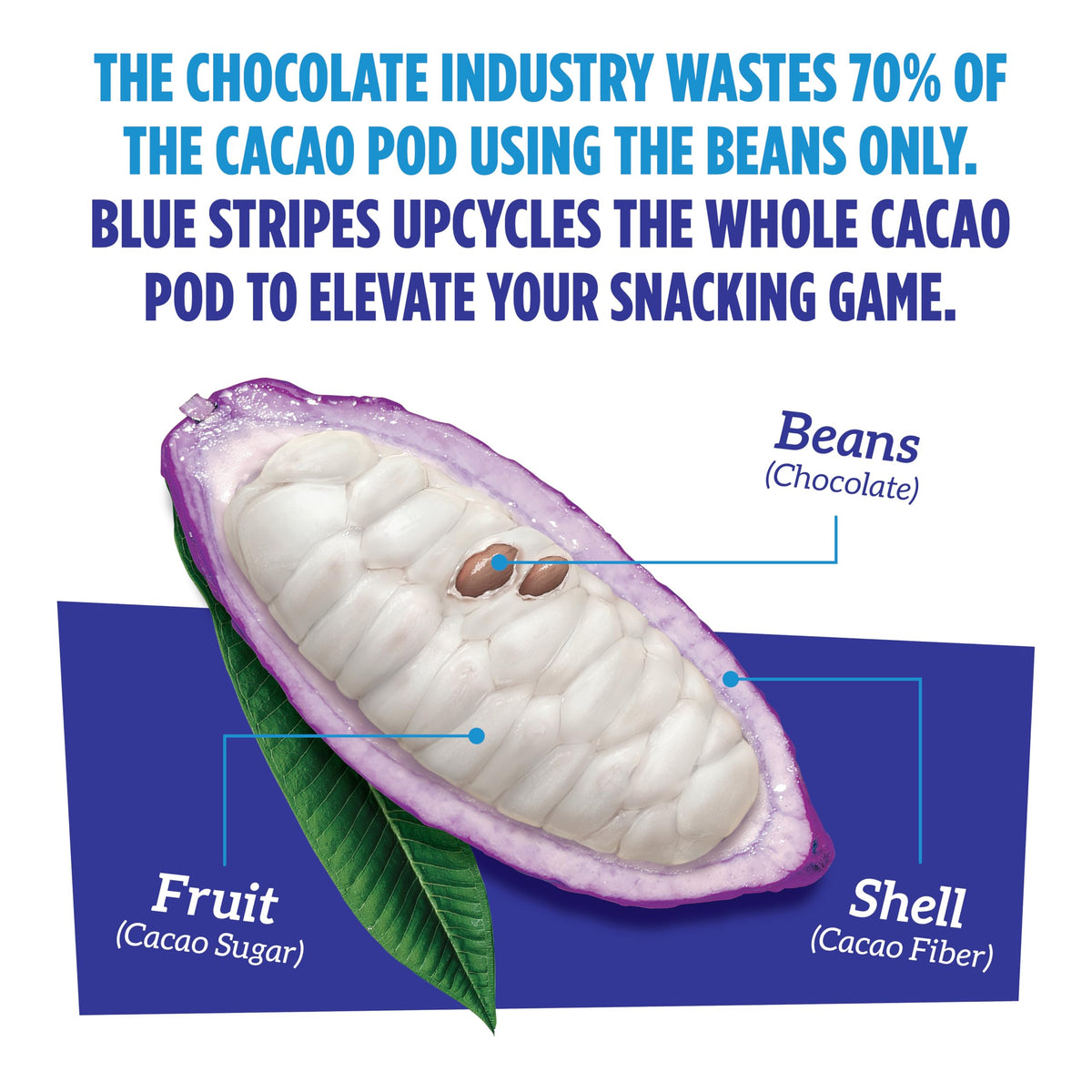 Blue Stripes Pure Dark Whole Cacao Bar in-hand pack conveys portable energy.