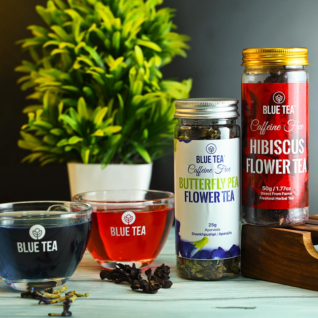 BLUE TEA butterfly pea flower close-up reveals natural petals and color-rich aroma