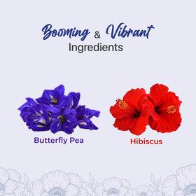 BLUE TEA Hibiscus Tea loose leaves reveal bold red petals for a bright iced sip