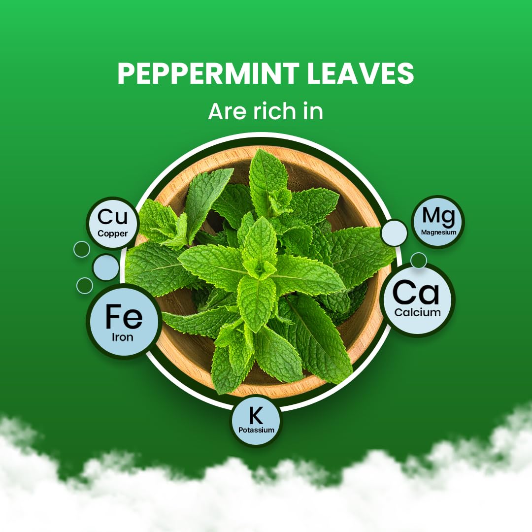 Blue Tea Peppermint Tea bags close-up, ideal for a soothing post-meal cup.