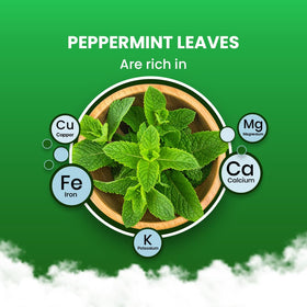 Blue Tea Peppermint Tea bags close-up, ideal for a soothing post-meal cup.