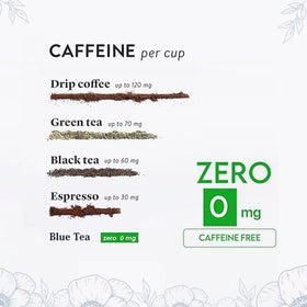 BLUE TEA reusable pet jar packaging highlighting eco-friendly storage for herbal blends