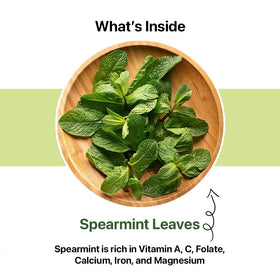 Blue Tea Spearmint tea bag in cup—soothing, digestive-friendly flavor.