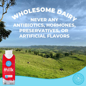 Blue Valley non-refrigerated milk box ideal for camping and picnics