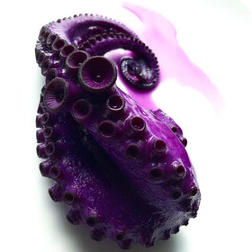 Bluechai Red Cabbage Powder color-change beverage demonstration in glass.