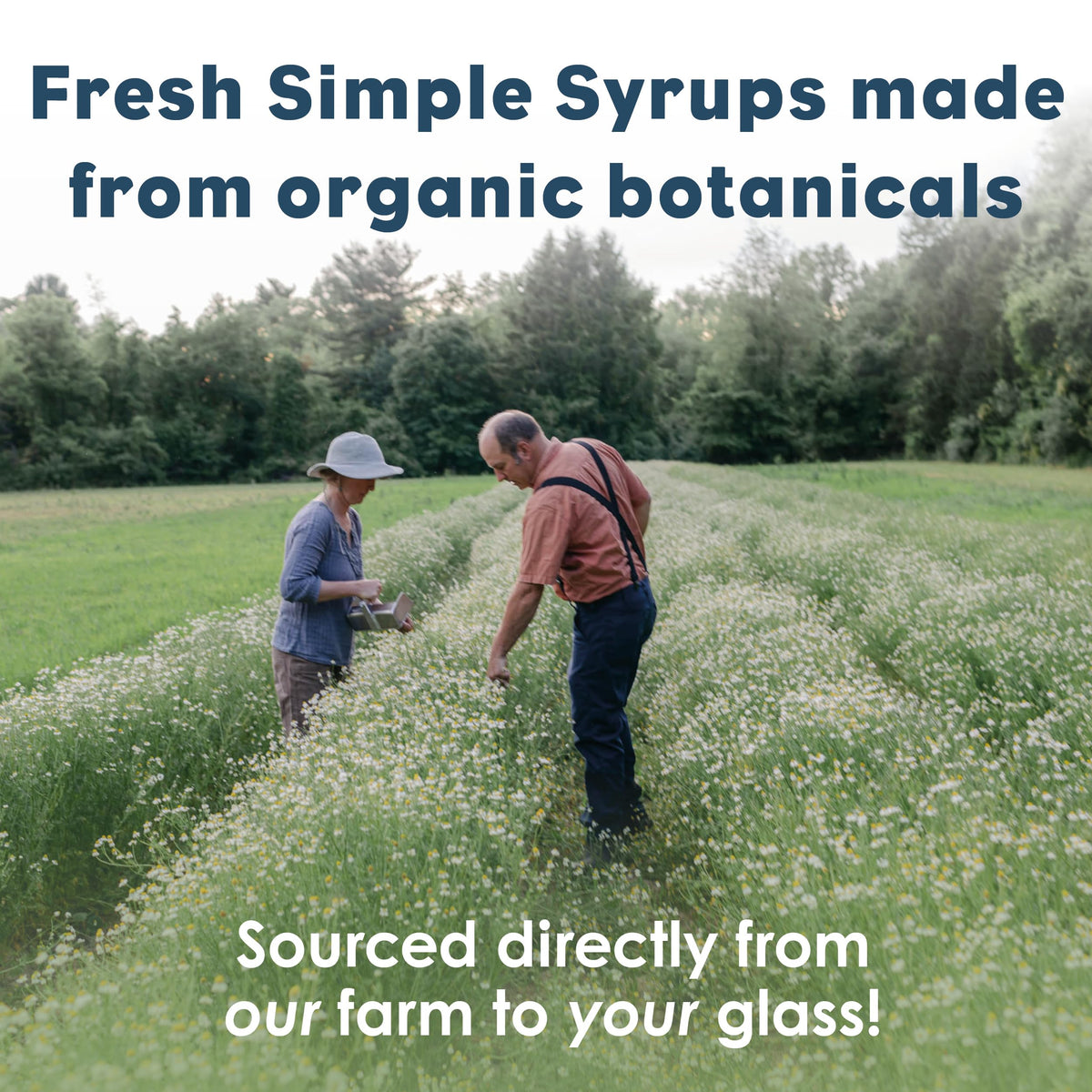 Bluestem Botanicals Lavender Syrup dispensing pump enables precise pouring.