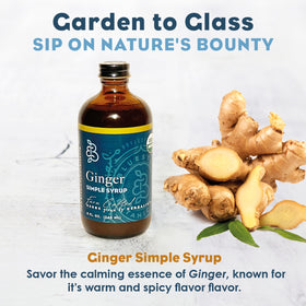 Bluestem Botanicals Organic Ginger Syrup packaging with label emphasizing organic ethos.
