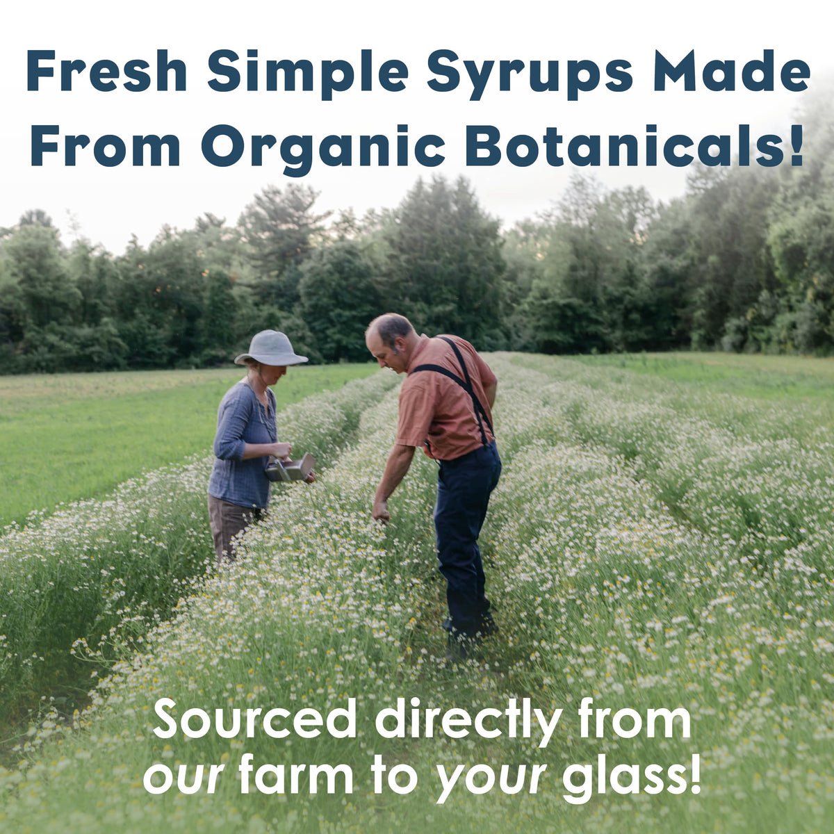 Bluestem Botanicals Tulsi Basil Simple Syrup glass-tea pairing sweetens tea and espresso beverages.