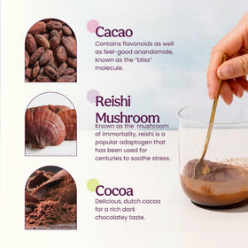 Blume reishi hot cacao mug with steam, cozy evenings with warmth.