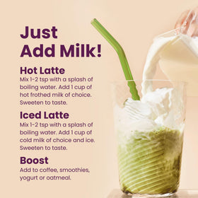 Blume latte powder ingredients bowl highlights moringa and coconut for antioxidant-friendly meals.