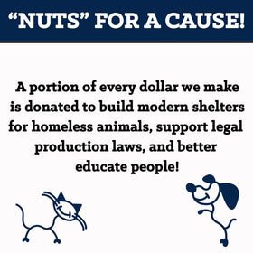 BobbySue's Everything Goes Nuts bagel flavor notes with sesame and spices
