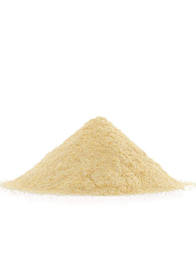 Bob's Red Mill Organic Masa Harina ready for tortilla pressing and cooking