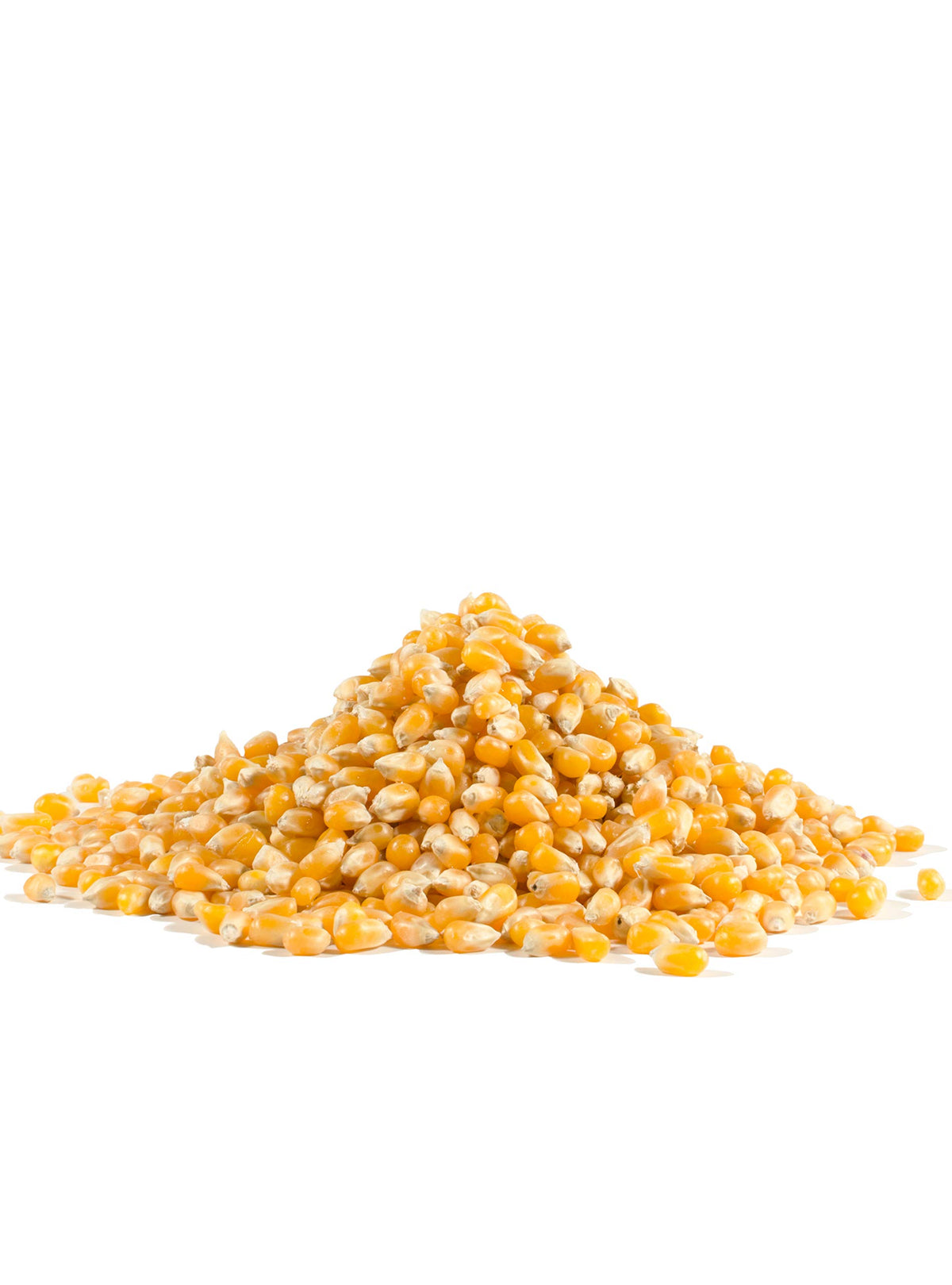 Bob's Red Mill Yellow Popcorn in a bowl ready for butter and seasoning.