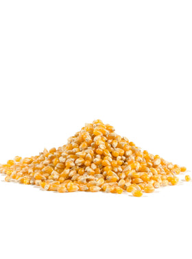 Bob's Red Mill Yellow Popcorn in a bowl ready for butter and seasoning.