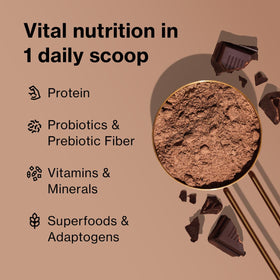 BODi Shakeology probiotic digestive enzymes support gut-friendly digestion.
