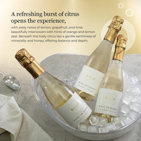 BO°LLE Blanc de Blancs close-up emphasizes lemon and grapefruit brightness.