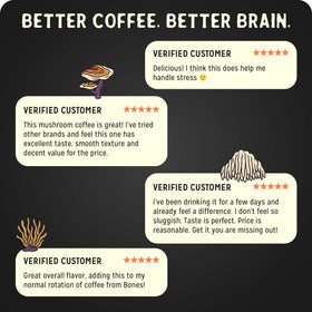 Bones Coffee Better Brain aromatic steam during a focused work break