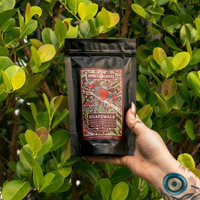 Bones Coffee World Tour Guatemala bag presenting chocolatey acidity for a smooth cup.