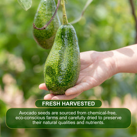 BOTAMONY avocado seed powder with resealable pack preserves freshness