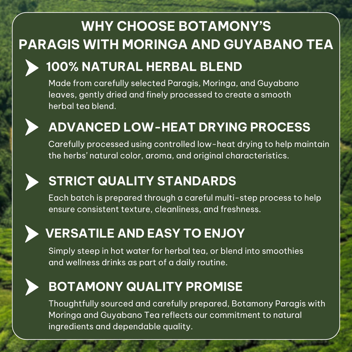BOTAMONY cup-steeping tea image shows smooth infusion for comforting warm moments.