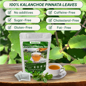 BOTAMONY filter bag tea setup highlighting neat, mess-free preparation