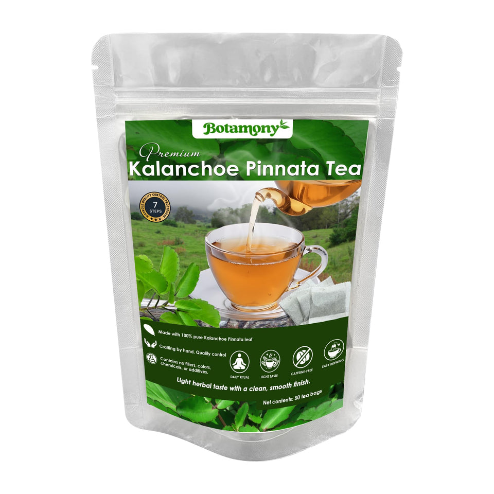 BOTAMONY Kalanchoe pinnata tea bag close-up showing natural dried leaves ready to brew