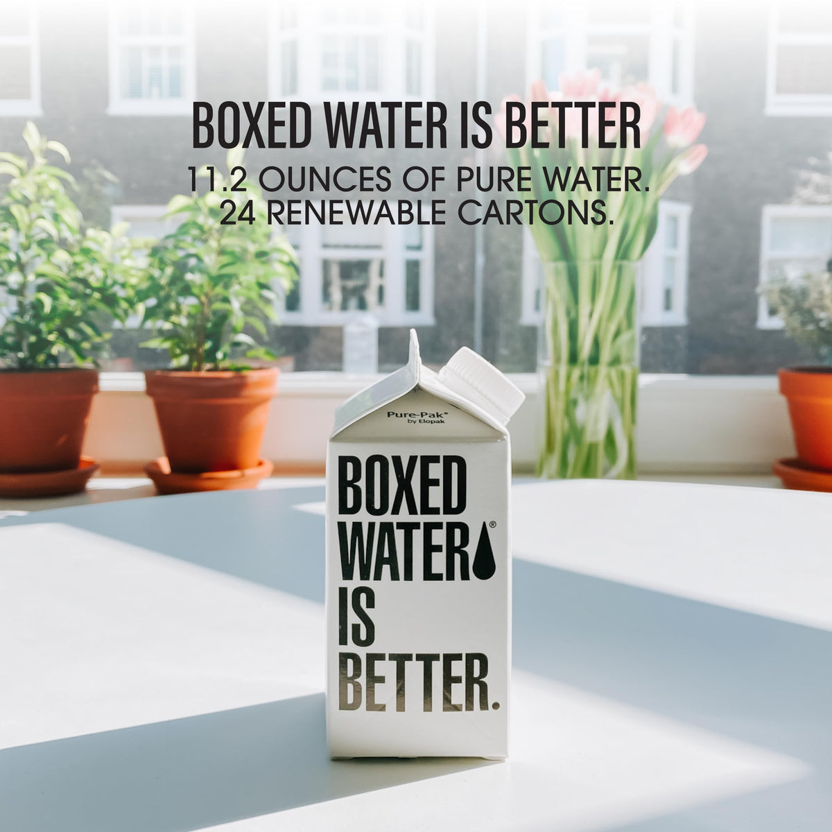 Boxed Water 11.2 oz 24-pack back view highlighting portability and packaging