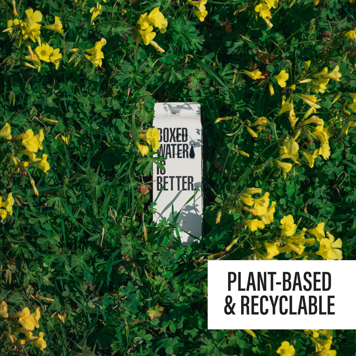 Boxed Water Is Better ideal for hiking, workouts, and road trips.