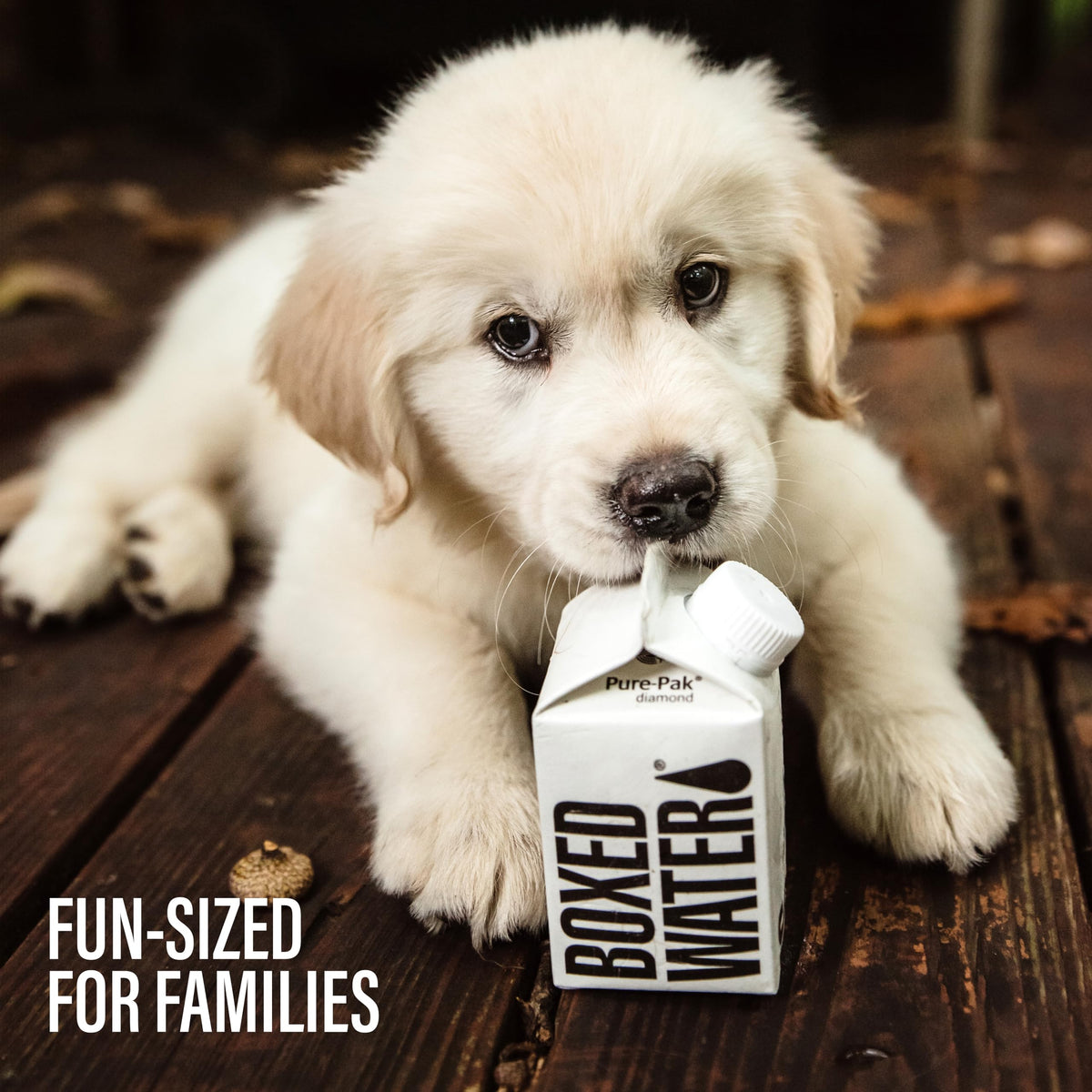 BOXED WATER IS BETTER carton with plant-based bioplastic cap.