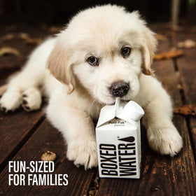 BOXED WATER IS BETTER carton with plant-based bioplastic cap.