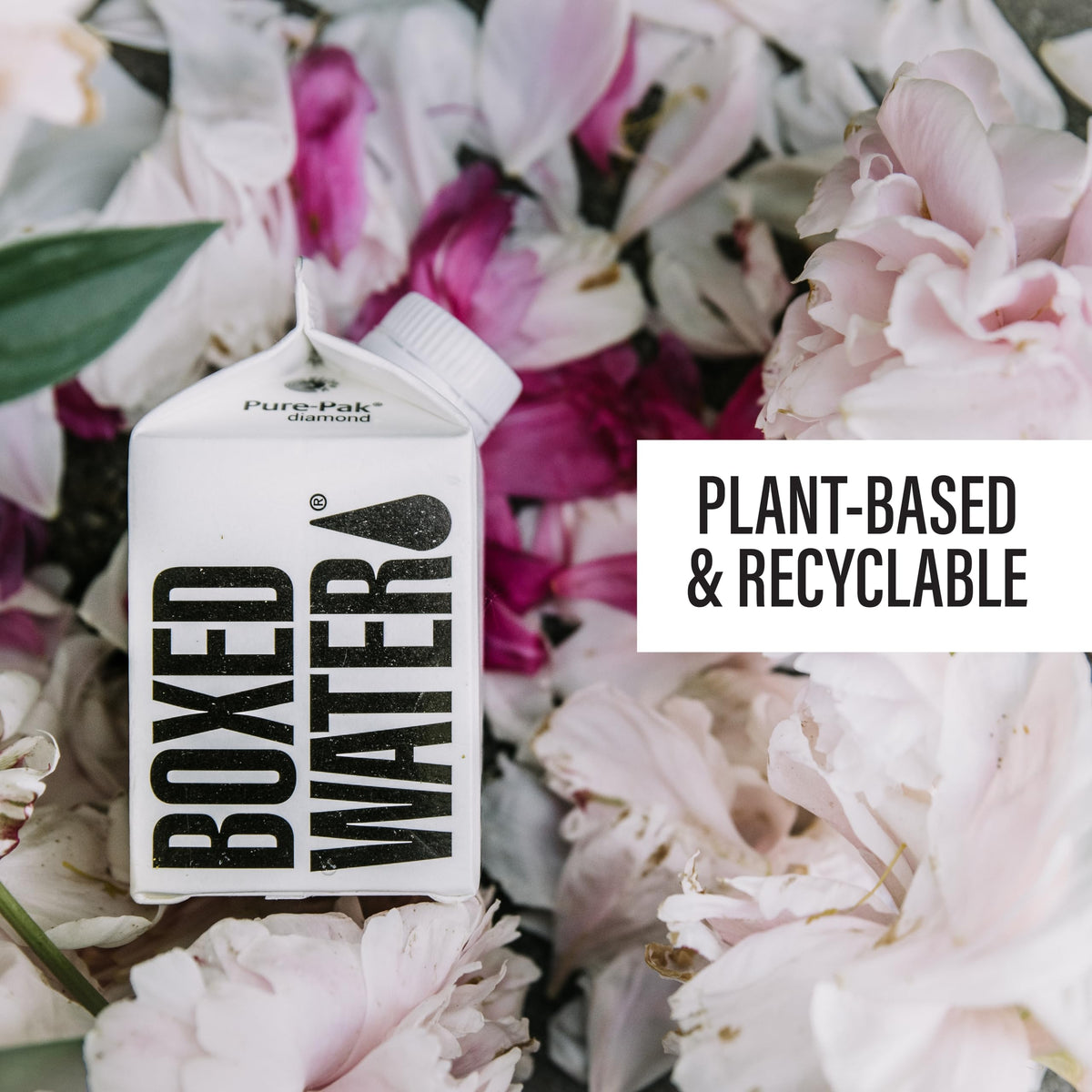 BOXED WATER IS BETTER supports sustainability with tree-planting efforts.