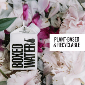 BOXED WATER IS BETTER supports sustainability with tree-planting efforts.