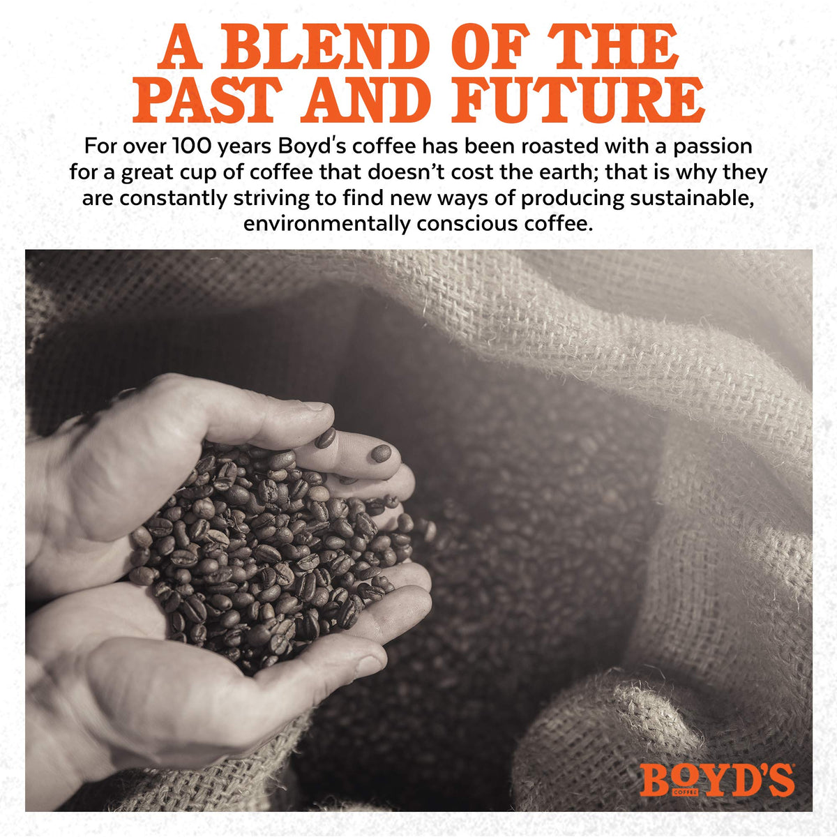 Expert roastmasters at Boyd's ensure consistent flavor and body