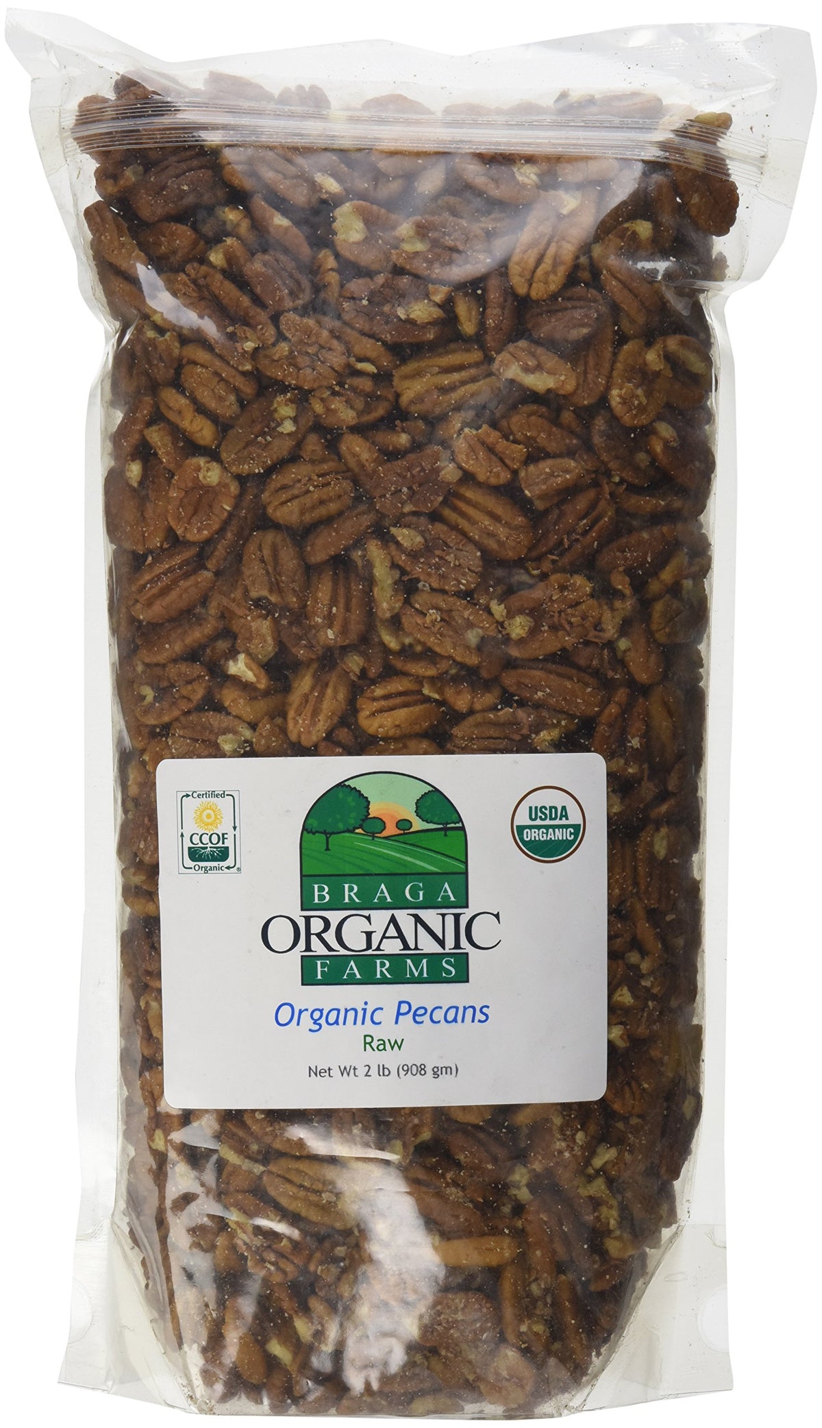 Braga Organic Farms pecans raw close-up, highlighting natural texture and omega fatty acids.