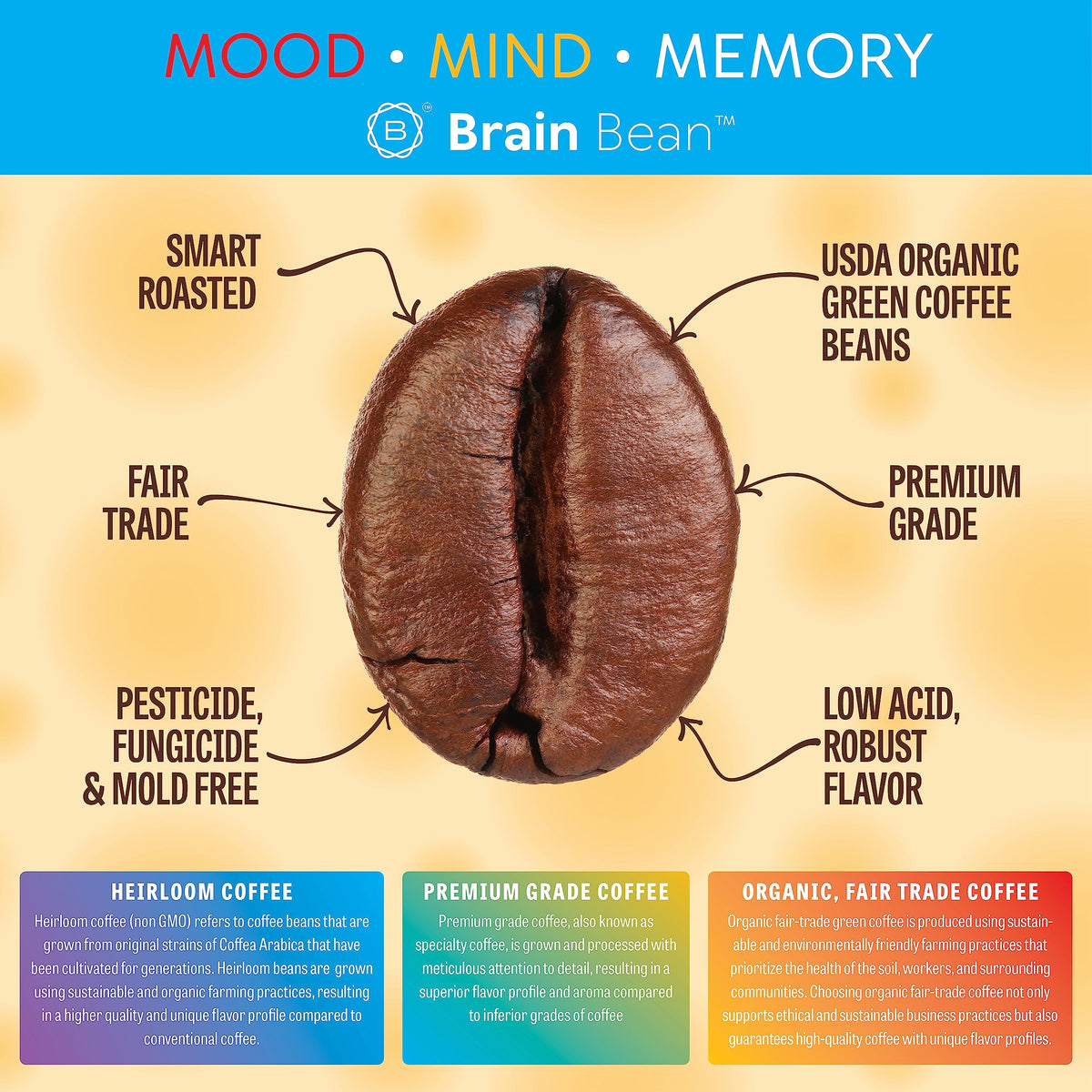 Brain Bean aroma and smooth cup for everyday energy