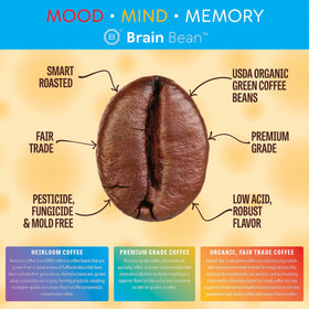 Brain Bean aroma and smooth cup for everyday energy