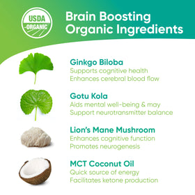 Brain Tea Ginkgo Biloba leaves close-up suggesting cognitive support