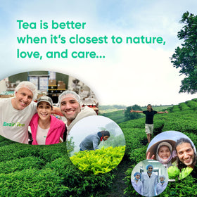 Brain Tea MCT coconut oil jar indicates energy-friendly, caffeine-free option