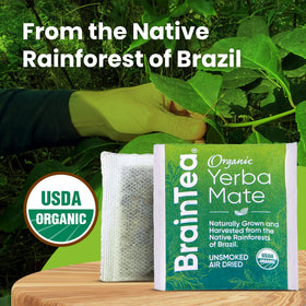 Brain Tea unsmoked yerba mate preserved by hot-air drying.