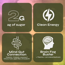 Prebiotic-probiotic blend in Yerba Magic supporting gut-friendly nutrition
