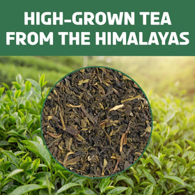 BREWIX gluten-free tea option with pure ingredients.