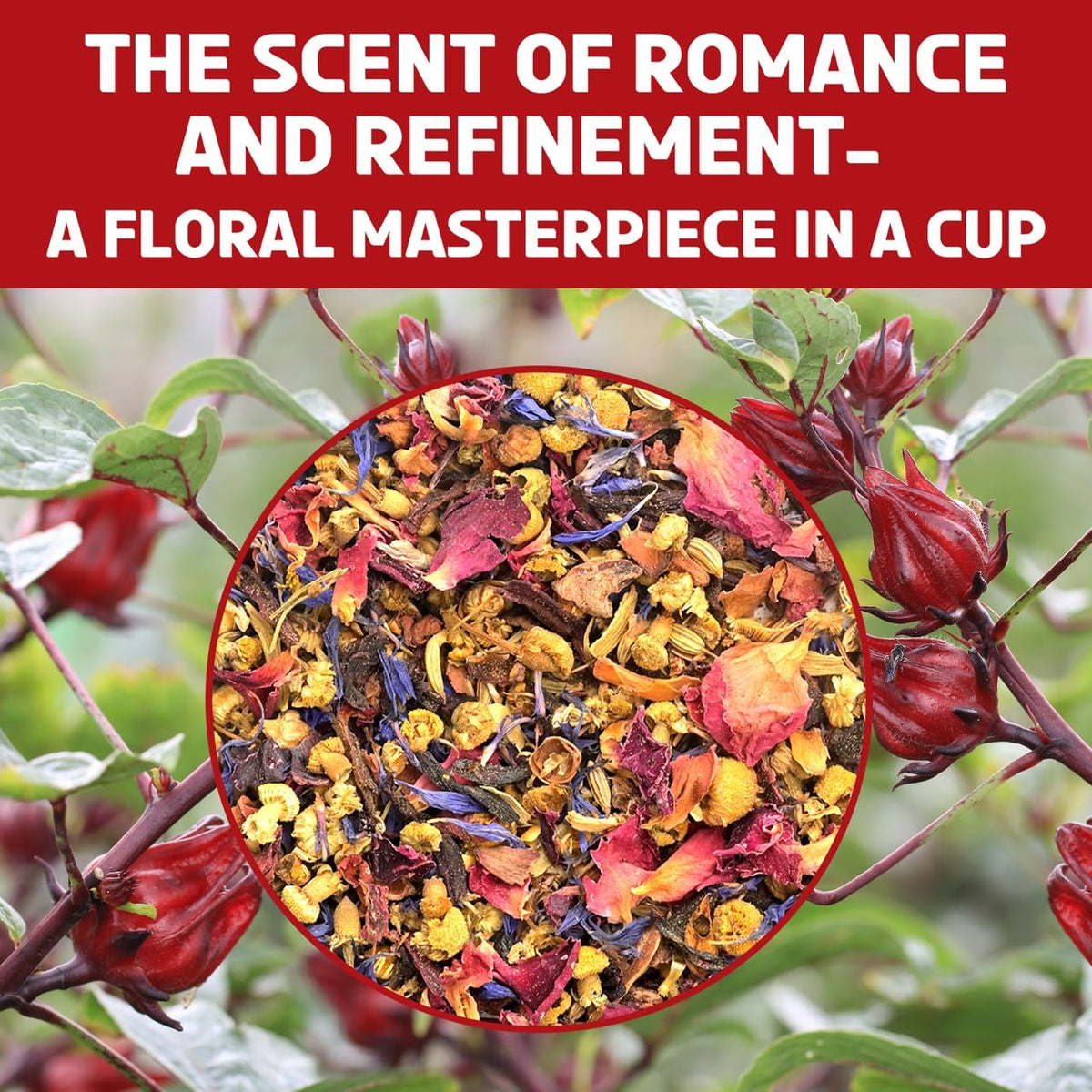 BREWIX Loose tea display from garden to cup, emphasizing freshness