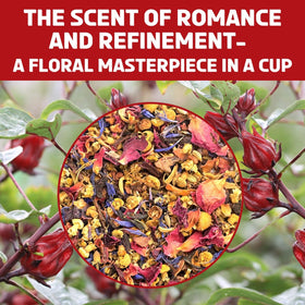 BREWIX Loose tea display from garden to cup, emphasizing freshness