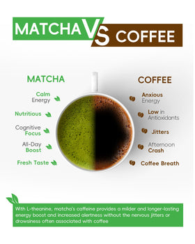 Brewnova energy and focus with matcha suggests balanced alertness