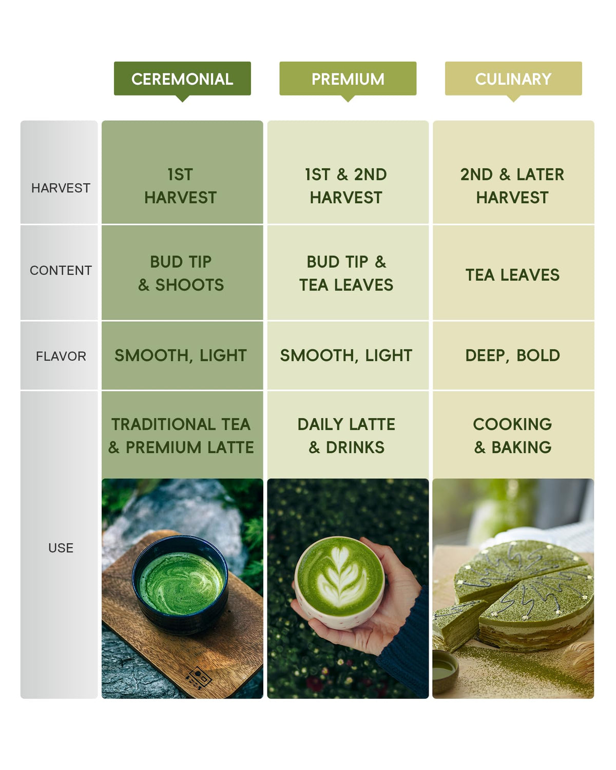 Brewnova smoothie recipe with matcha demonstrates vibrant color and energy