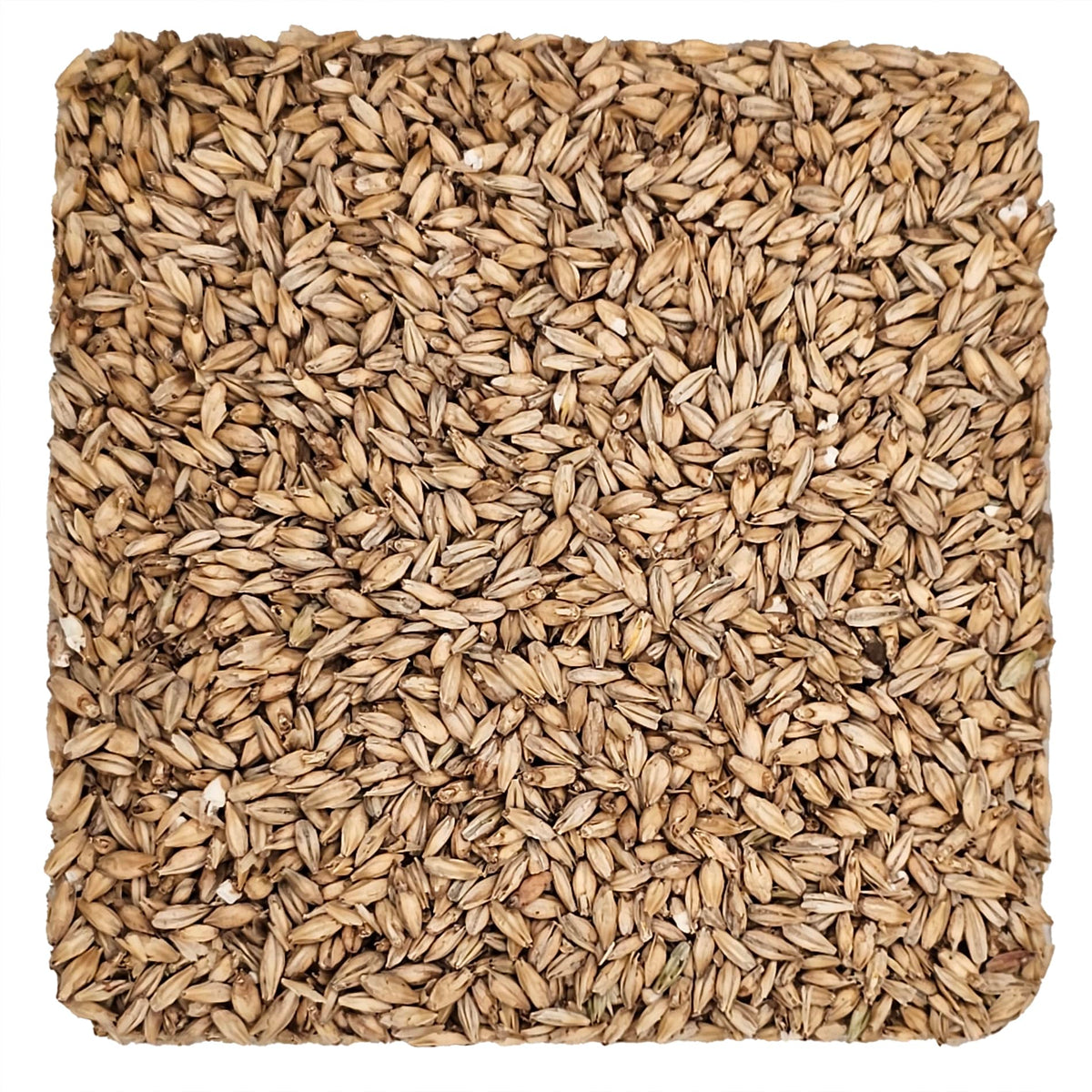 Briess Distillers Malt 2-Row bag 10 lb, ideal for robust mashes