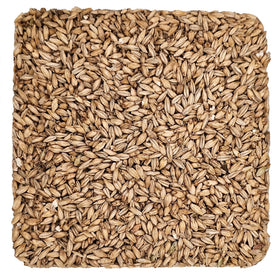 Briess Distillers Malt 2-Row bag 10 lb, ideal for robust mashes