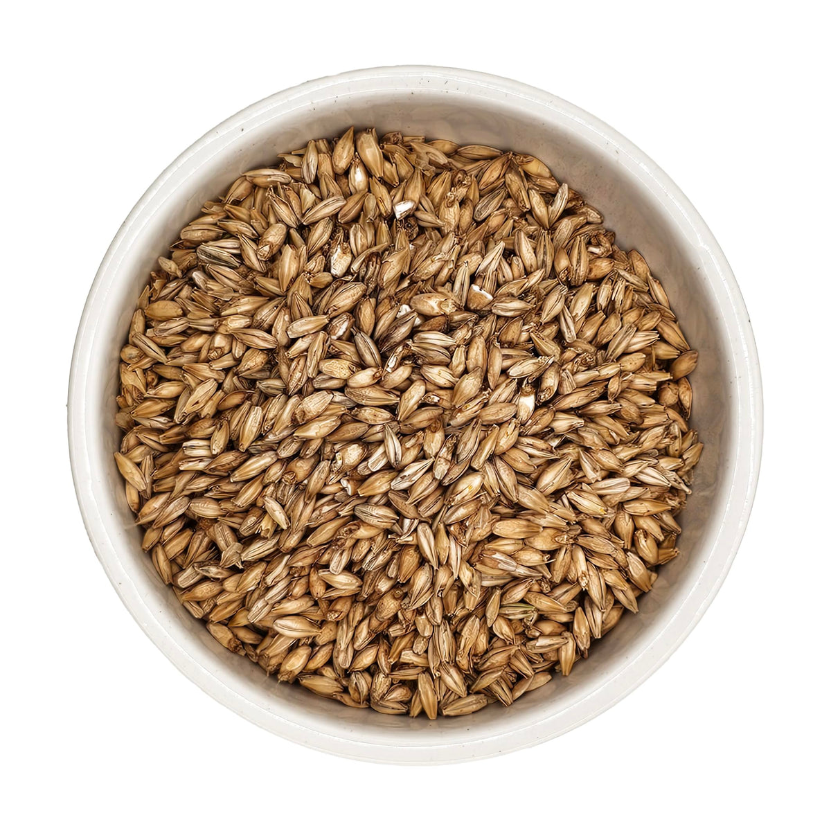 Briess Distillers Malt 2-Row fermentation-ready setup for distilling