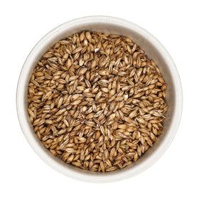 Briess Distillers Malt 2-Row fermentation-ready setup for distilling