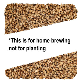 Briess Distillers Malt 2-Row packaging highlighting 10 lb bag